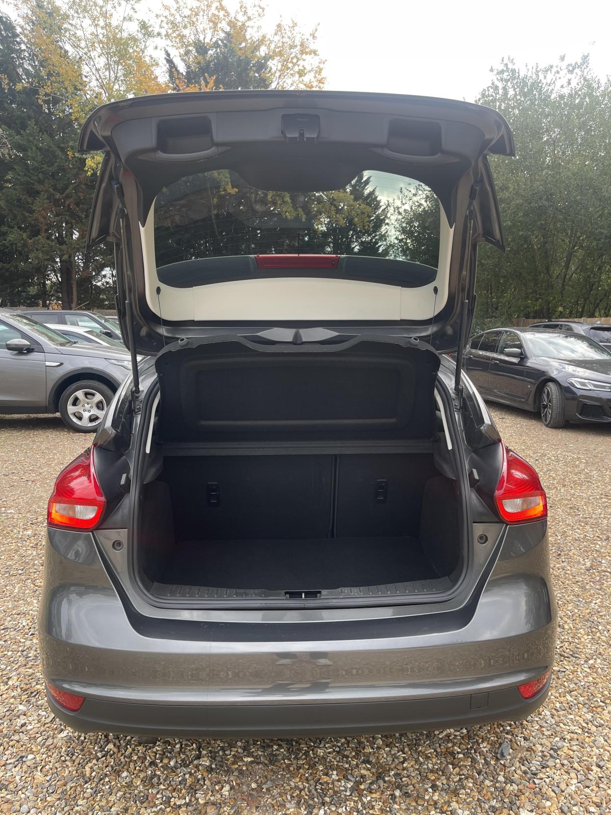 Ford Focus 1.0T EcoBoost Zetec Hatchback 5dr Petrol Manual Euro 6 (s/s) (125 ps)