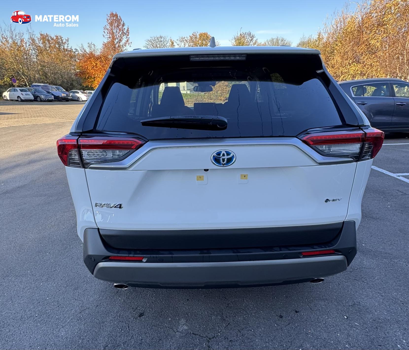 Toyota Rav4 2.5 XLE HV M Grade AXAA52L/AXAA54L/AXAH54L