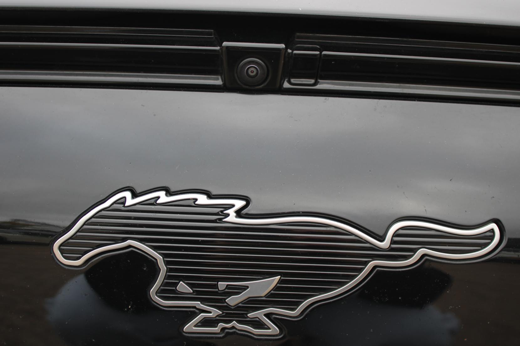 Ford Mustang Mach-E Extended Range 91kWh SUV 5dr Electric Automatic AWD (351 ps)