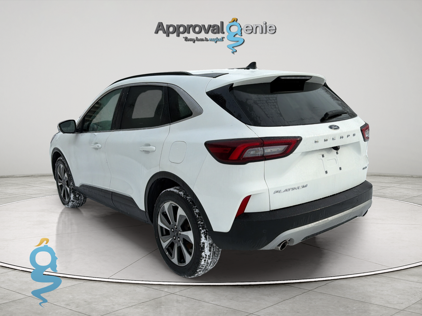 Ford Escape 2.0 Platinum