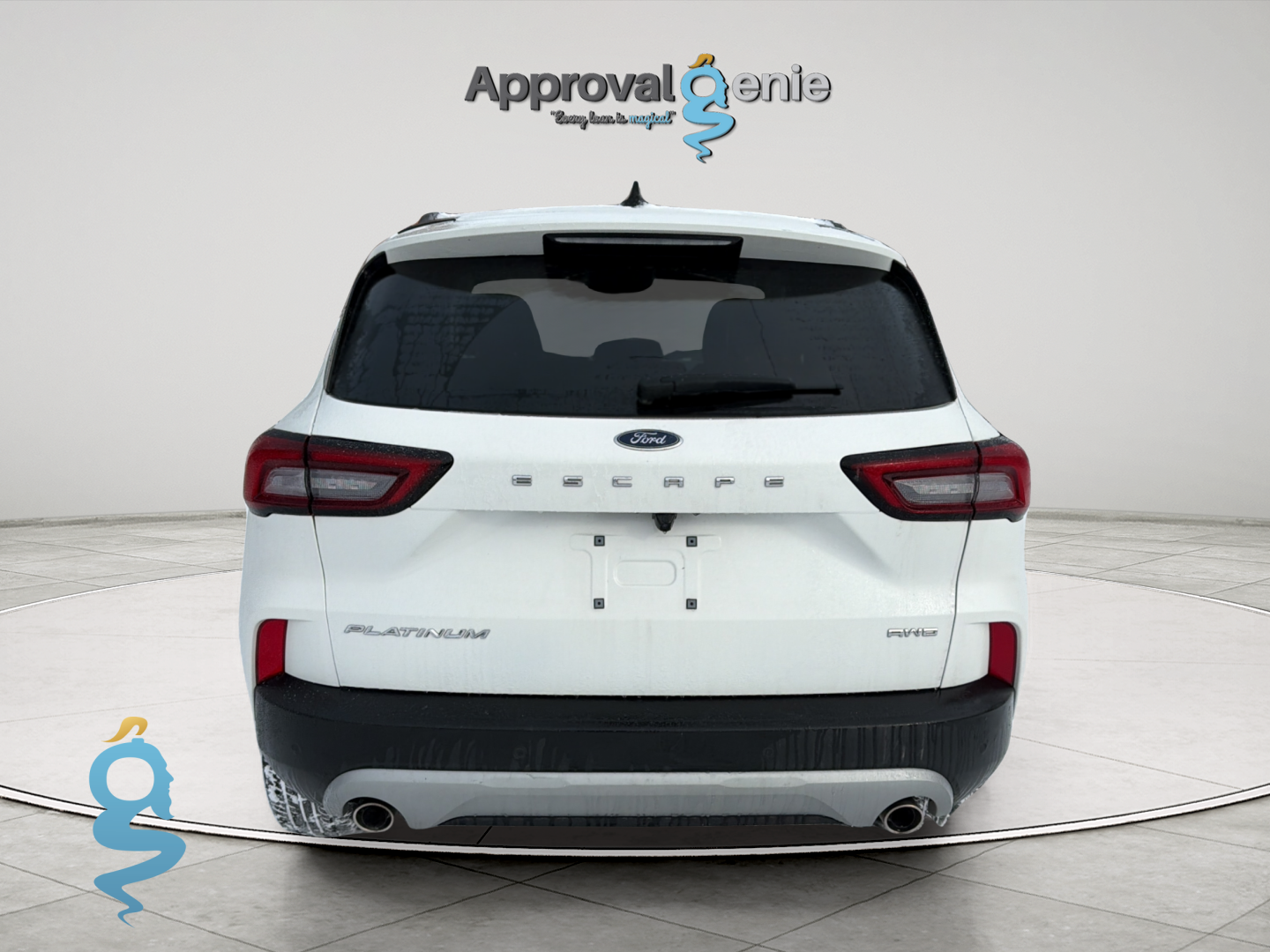 Ford Escape 2.0 Platinum