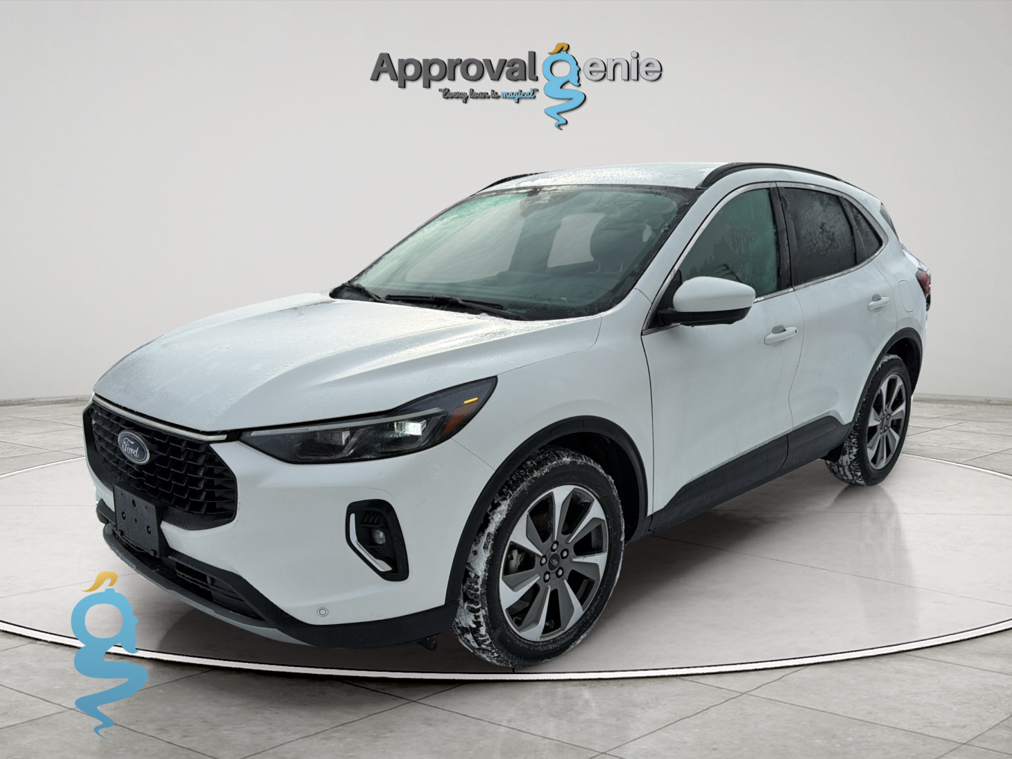 Ford Escape 2.0 Platinum