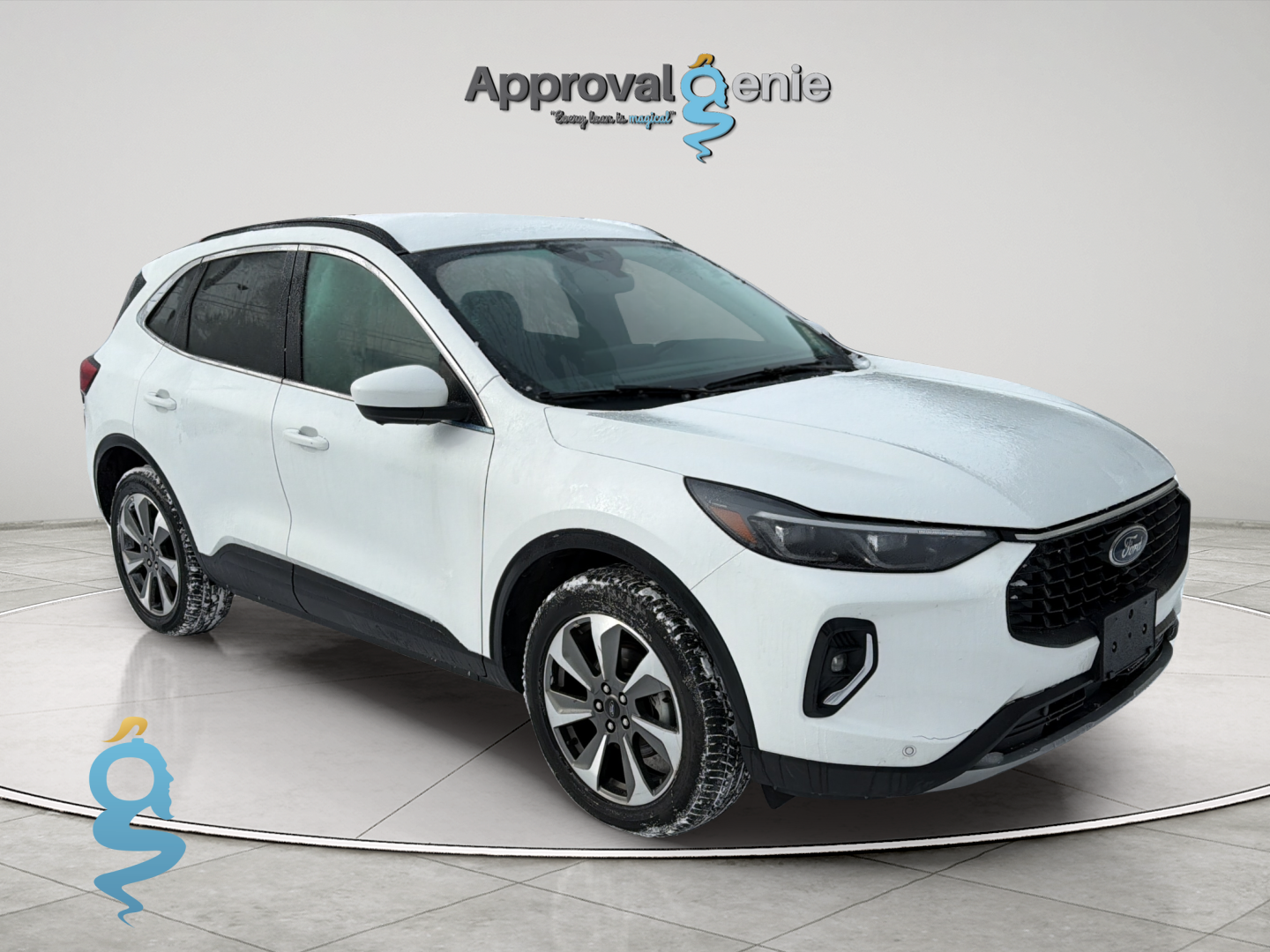 Ford Escape 2.0 Platinum