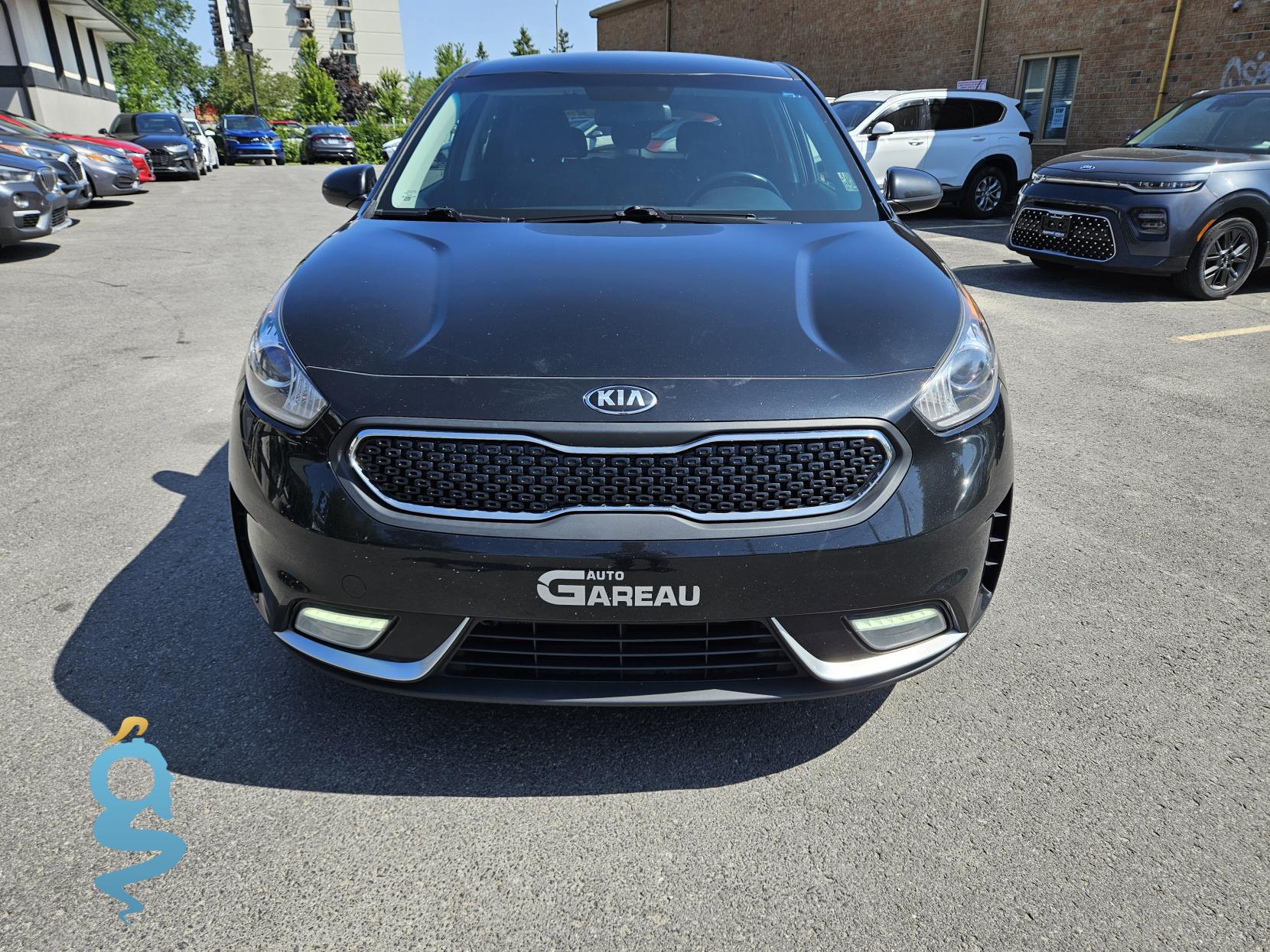 Kia Niro 1.6 FE (HEV), LX (HEV)