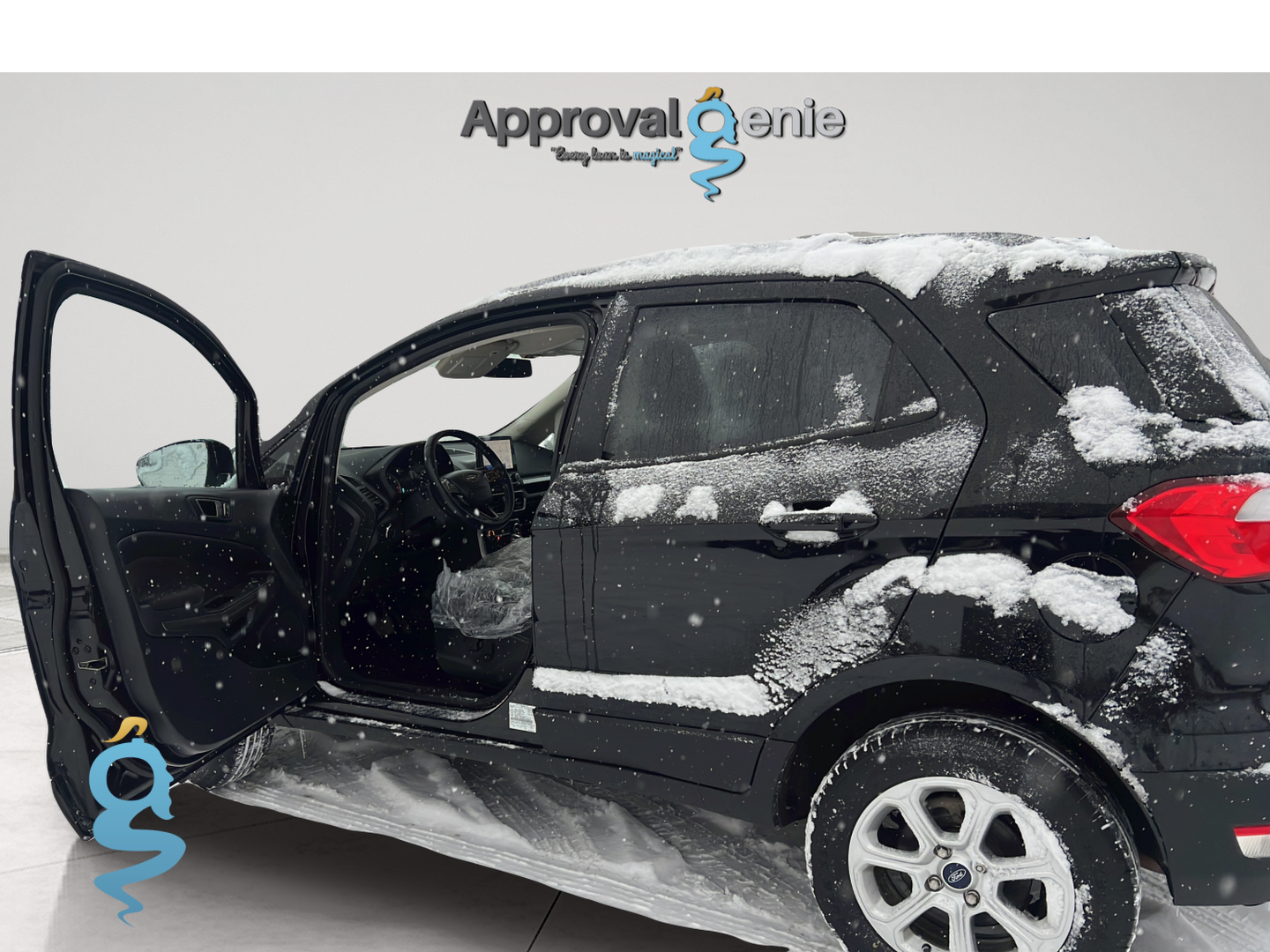 Ford EcoSport 2.0 SE