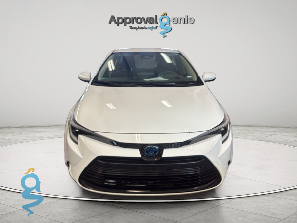 Toyota Corolla 1.8 L, LE, SE, XLE LE w/Convenience Tech pkg, w/Premium pkg / SE JPN Source, w/Nightshade pkg, w/Premium pkg 219 Series