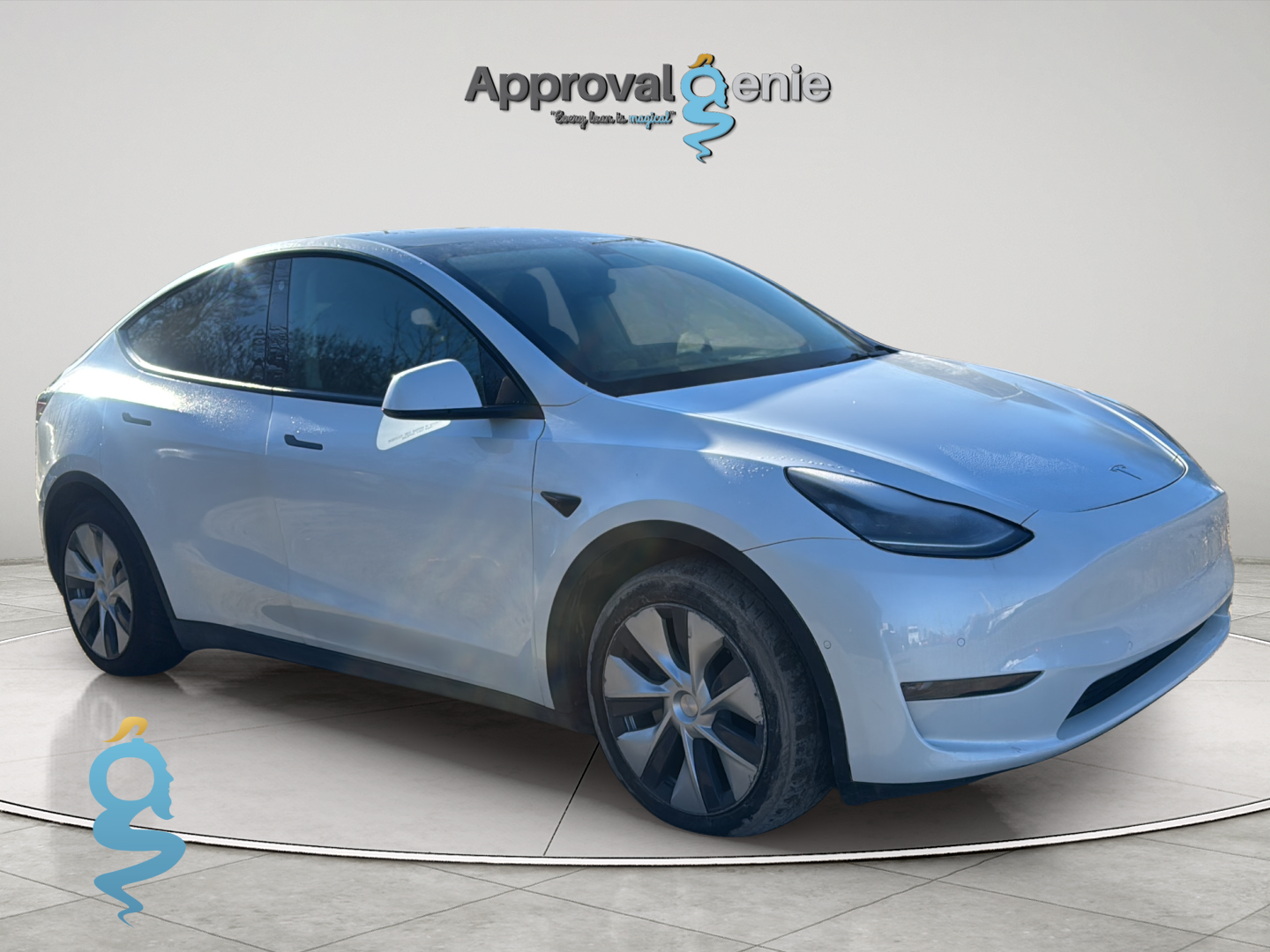 Tesla Model Y Model Y