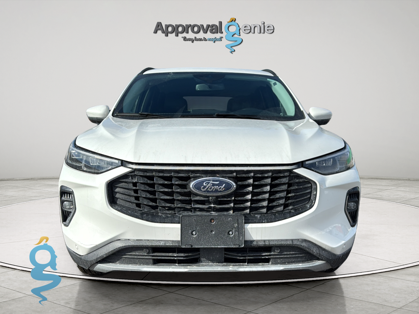 Ford Escape 2.0 Platinum