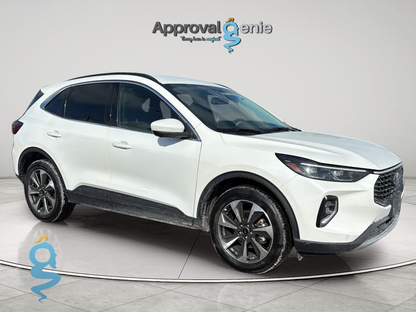 Ford Escape 2.0 Platinum