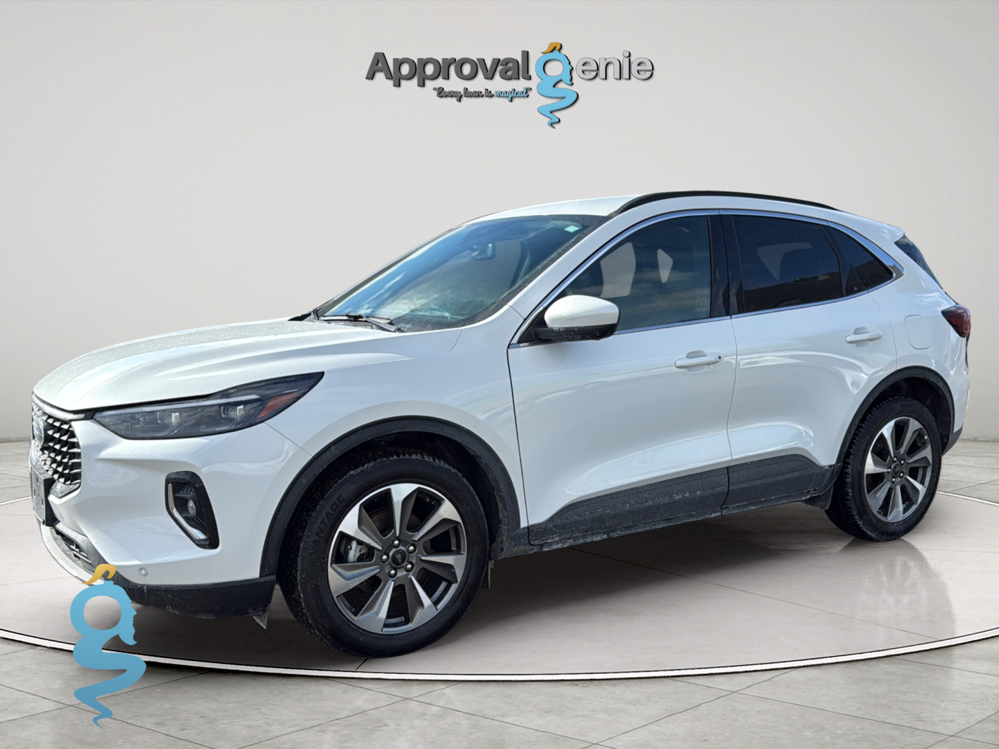 Ford Escape 2.0 Platinum