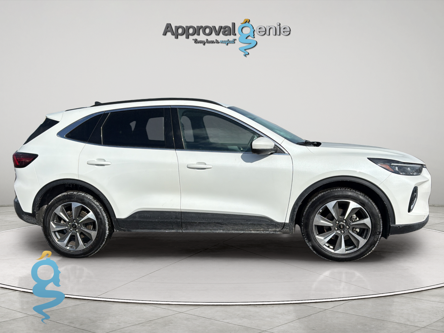 Ford Escape 2.0 Platinum