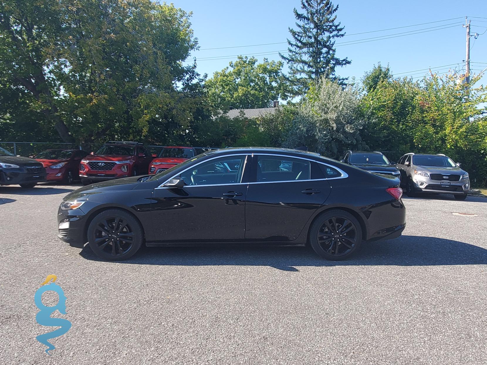 Chevrolet Malibu 1.5 LT (1LT) Malibu IX (facelift 2019)