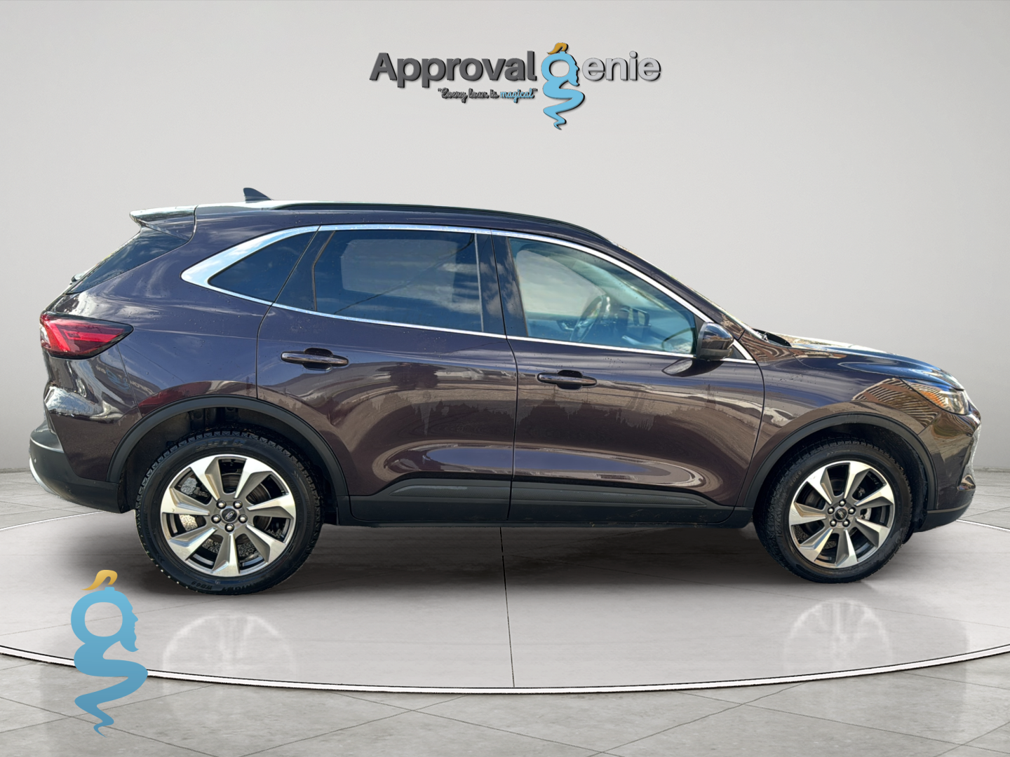 Ford Escape 2.0 Platinum