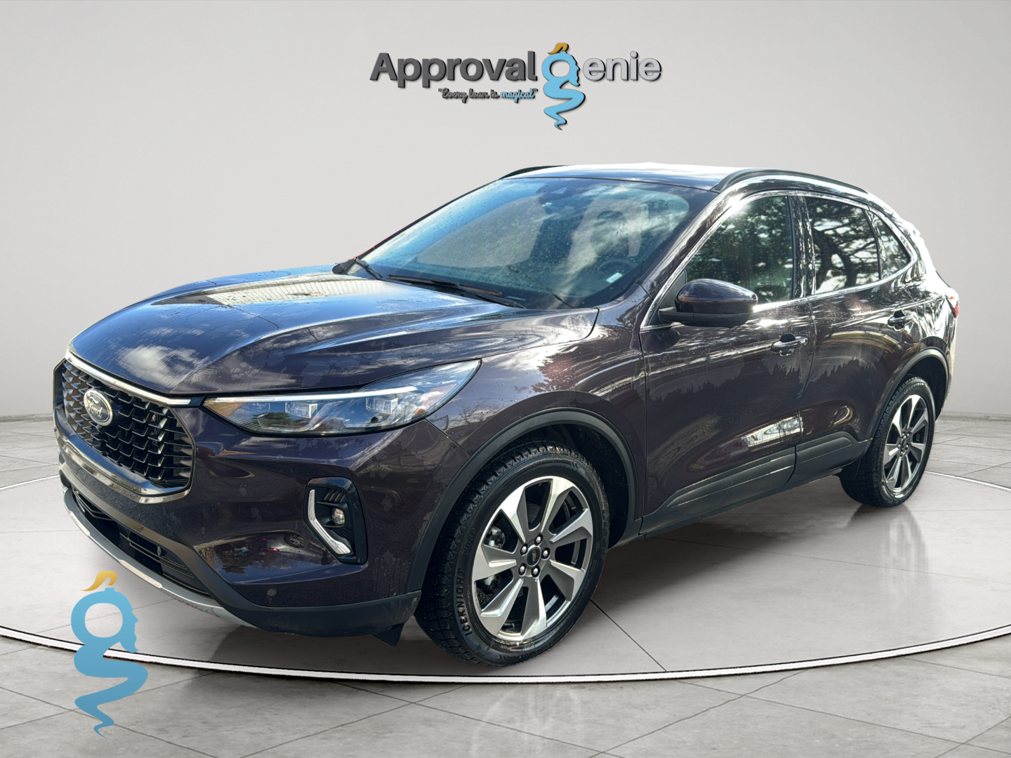 Ford Escape 2.0 Platinum