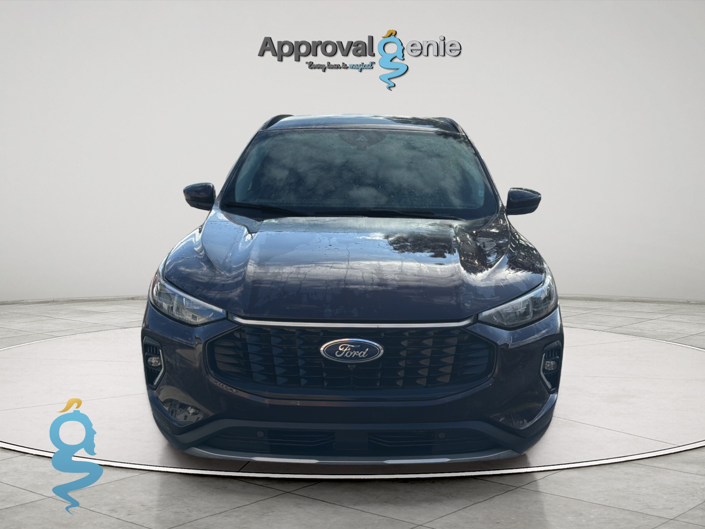 Ford Escape 2.0 Platinum