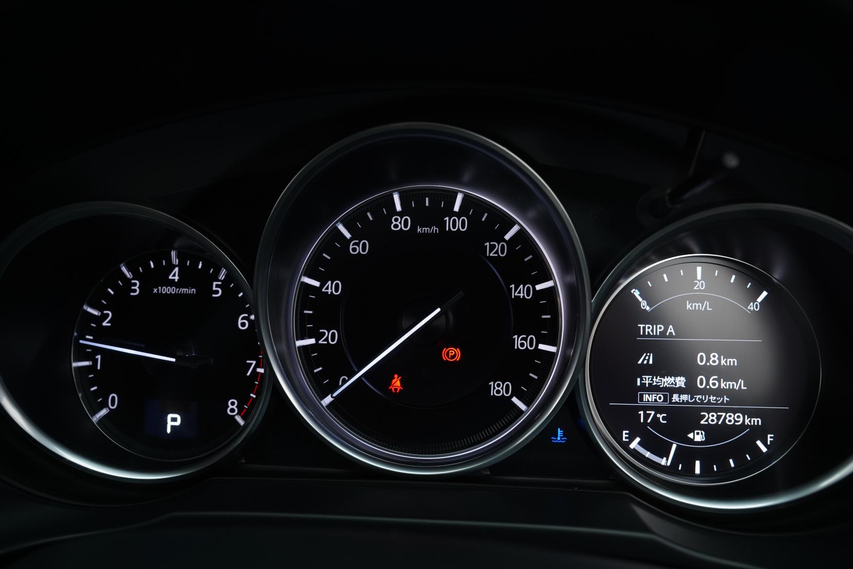 Mazda CX-8 2.5L PETROL 25S