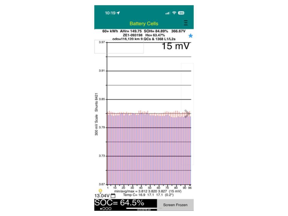 Nissan Leaf e+ 62X 86% SOH
