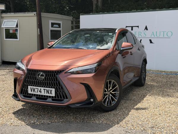 2024 Lexus NX