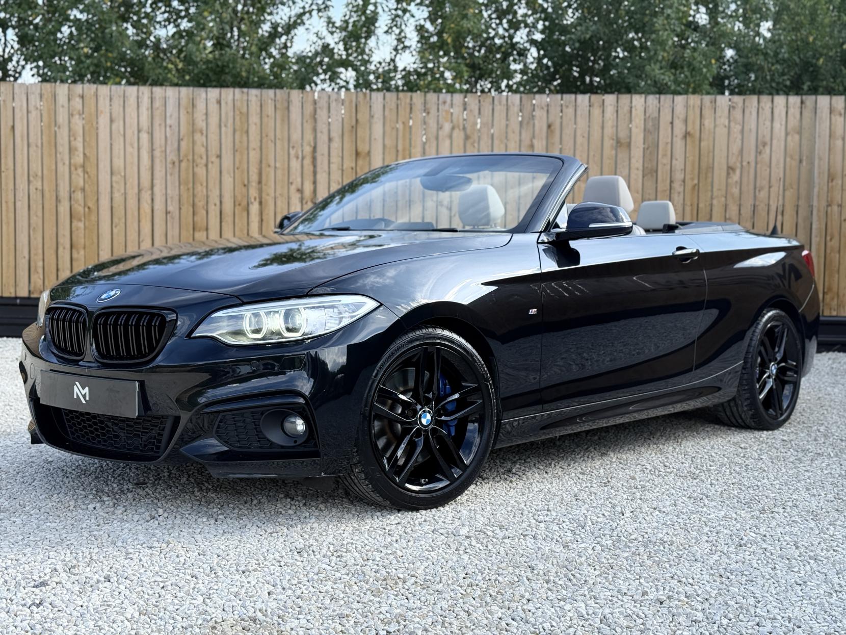 BMW 2 Series 2.0 220i M Sport Convertible 2dr Petrol Auto Euro 6 (s/s) (184 ps)