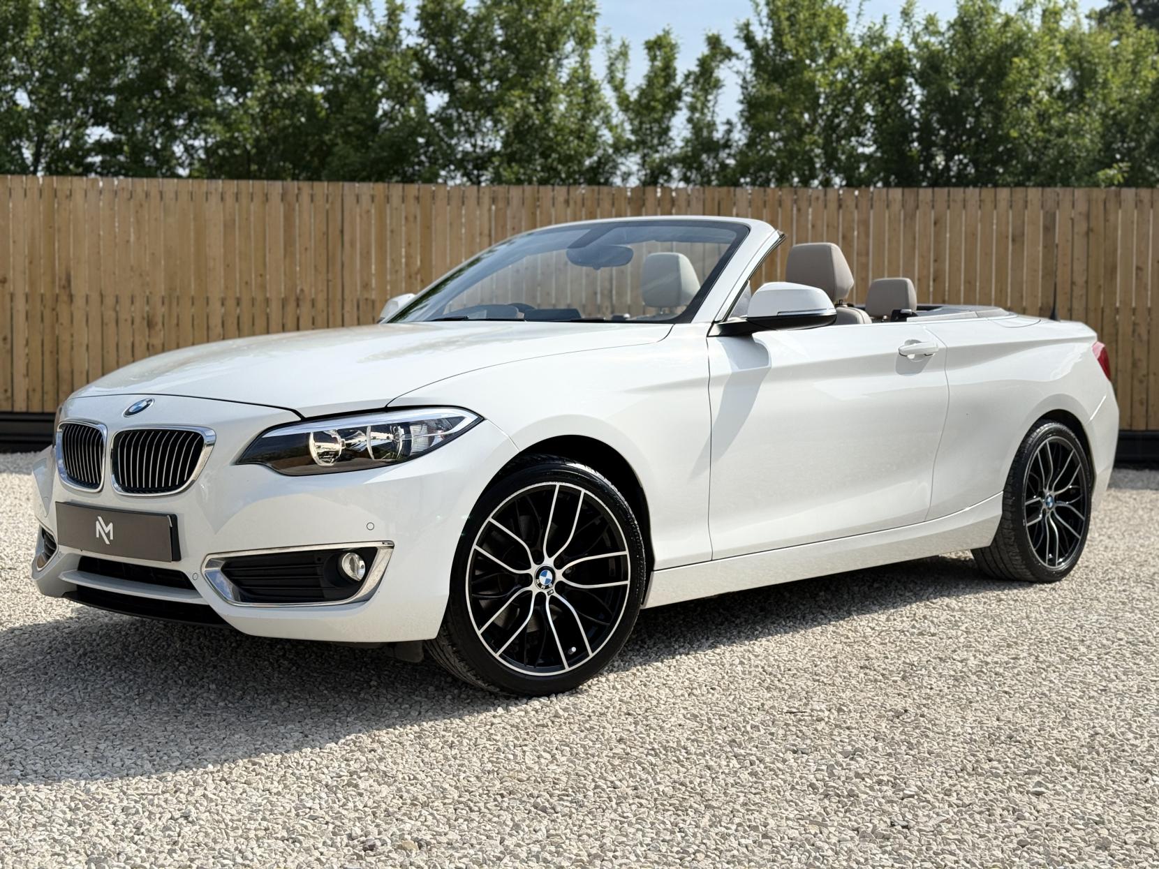 BMW 2 Series 2.0 220d Luxury Convertible 2dr Diesel Auto Euro 6 (s/s) (190 ps)