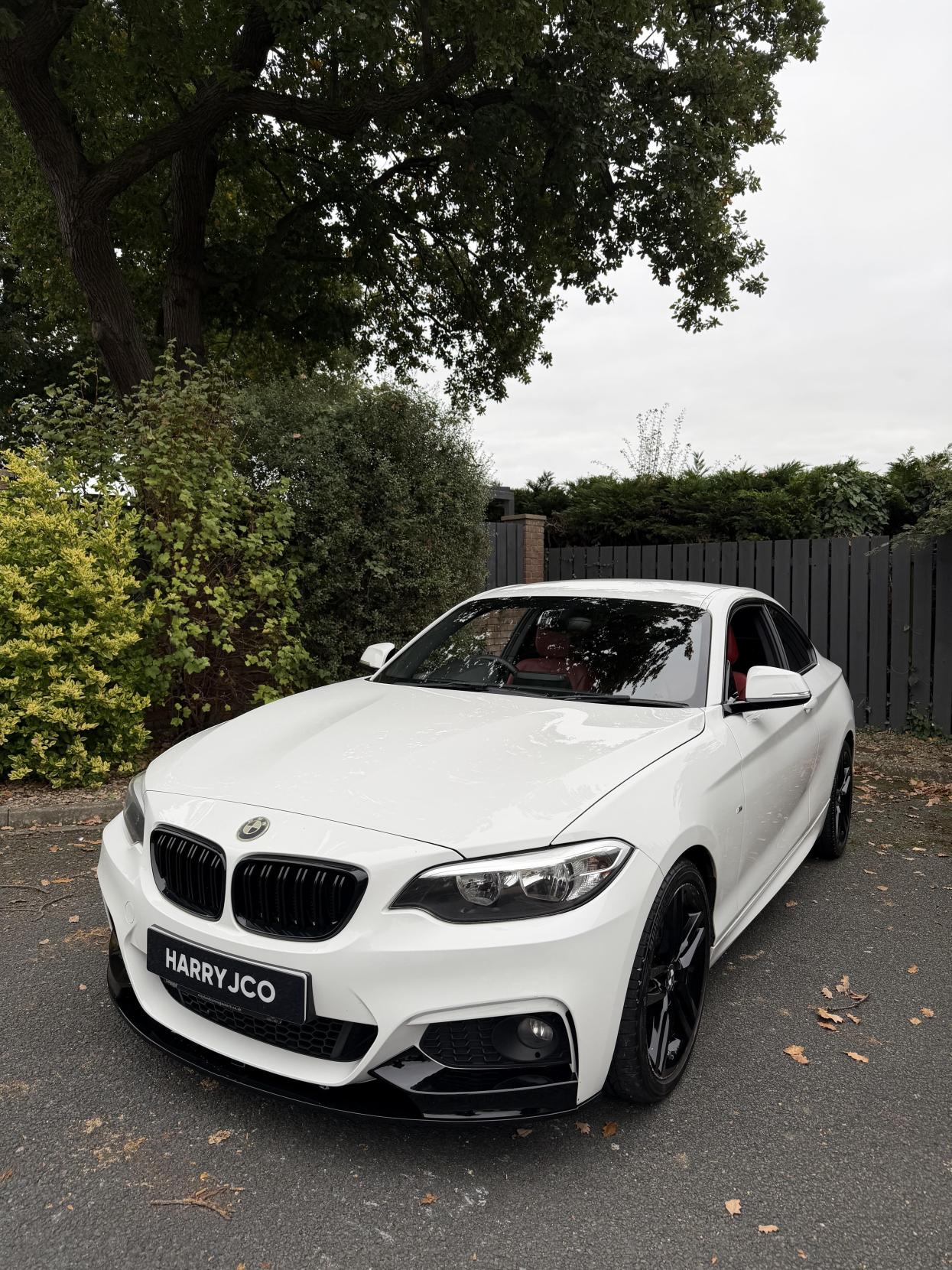 BMW 2 Series 2.0 218d M Sport Coupe 2dr Diesel Manual Euro 6 (s/s 