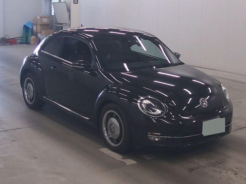 Volkswagen THE BEETLE BI MANY -