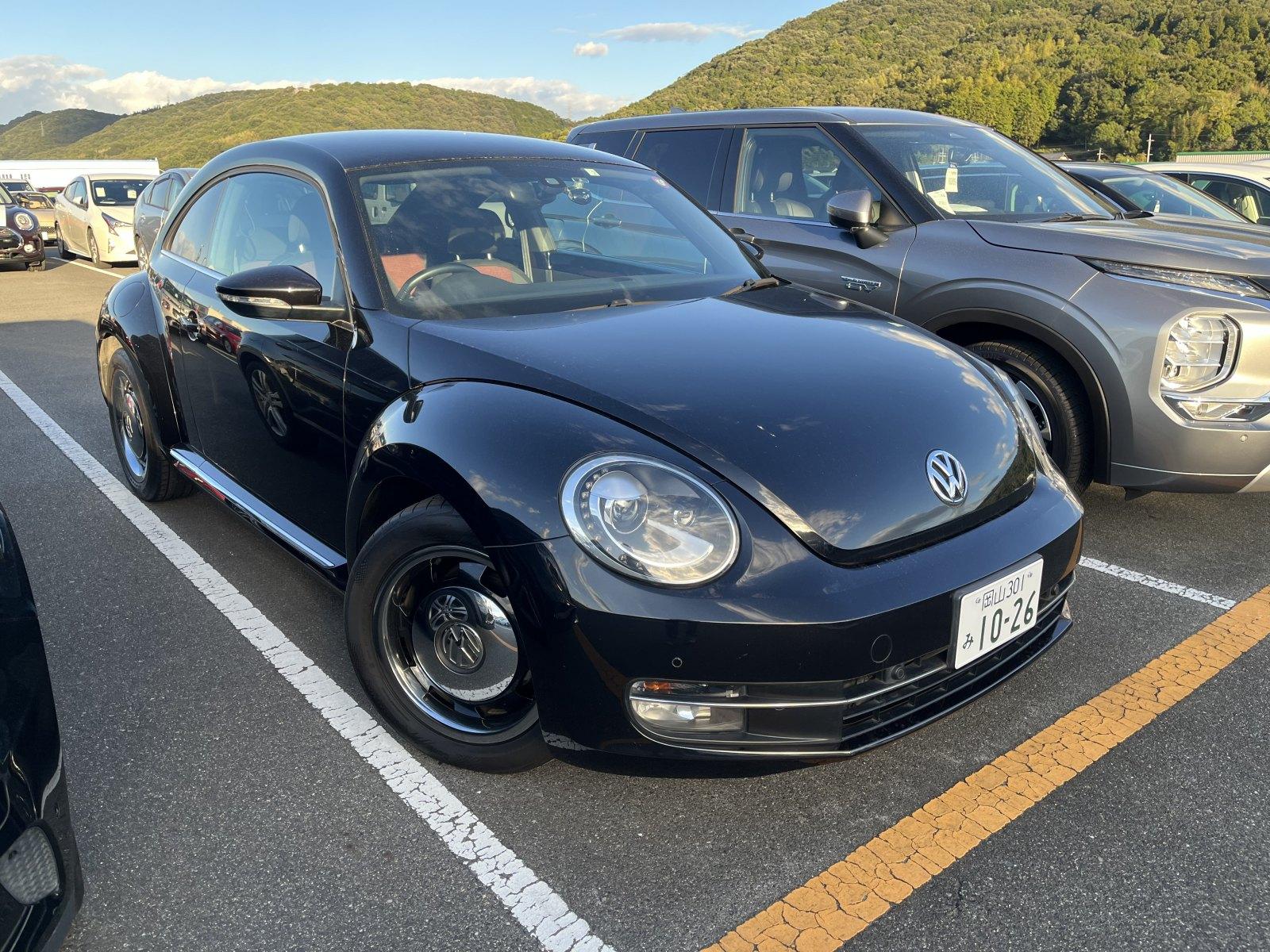 Volkswagen THE BEETLE BI MANY -