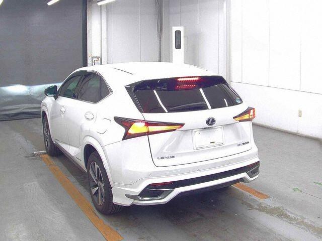 Lexus NX 4WD NX300H SPECIAL EDITION SPICE A