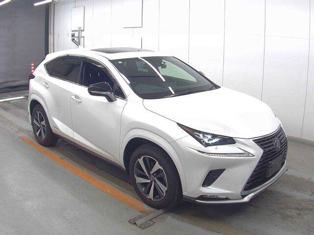 Lexus NX 4WD NX300H SPECIAL EDITION SPICE A