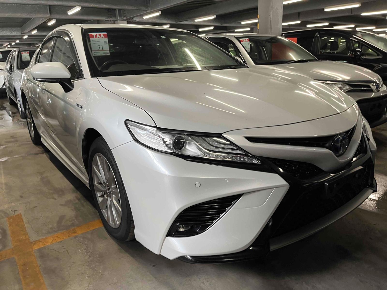 Toyota Camry  WS