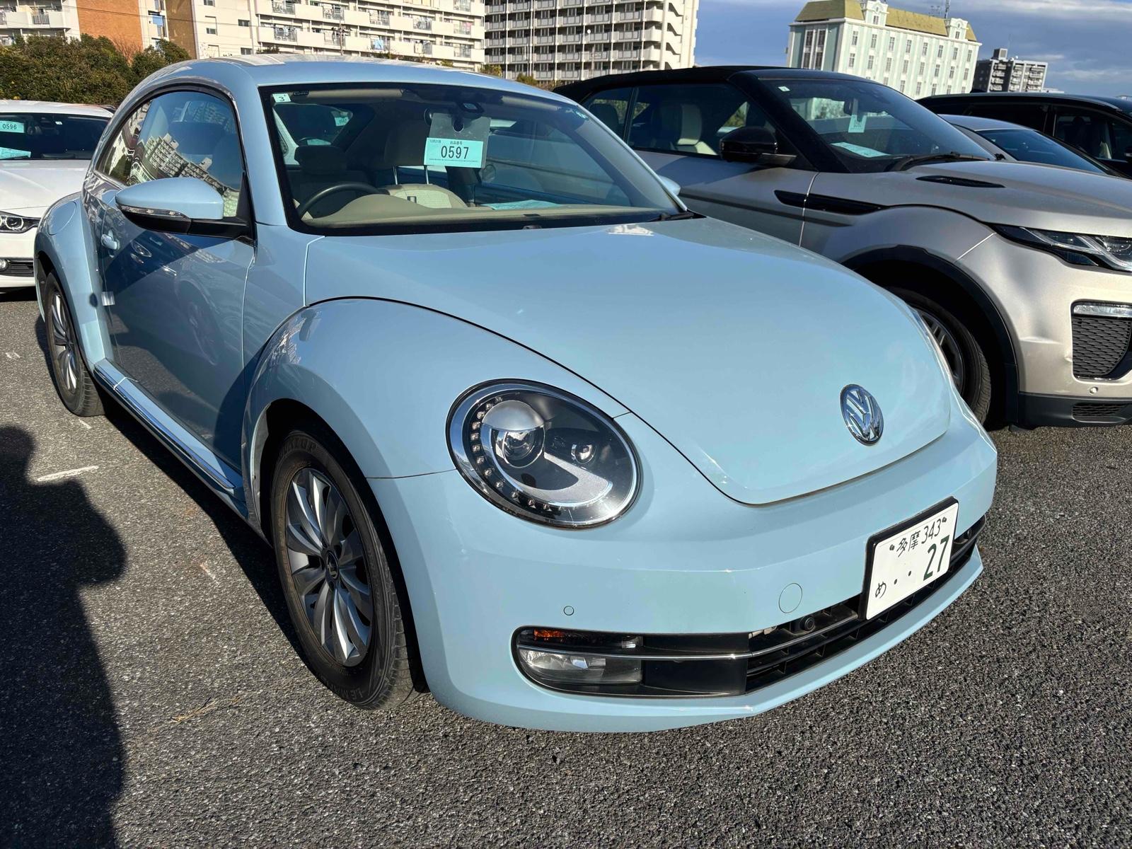 Volkswagen THE BEETLE BROSAM