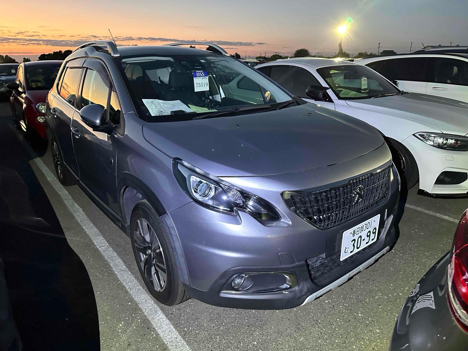 Peugeot 2008 CROSS CITY