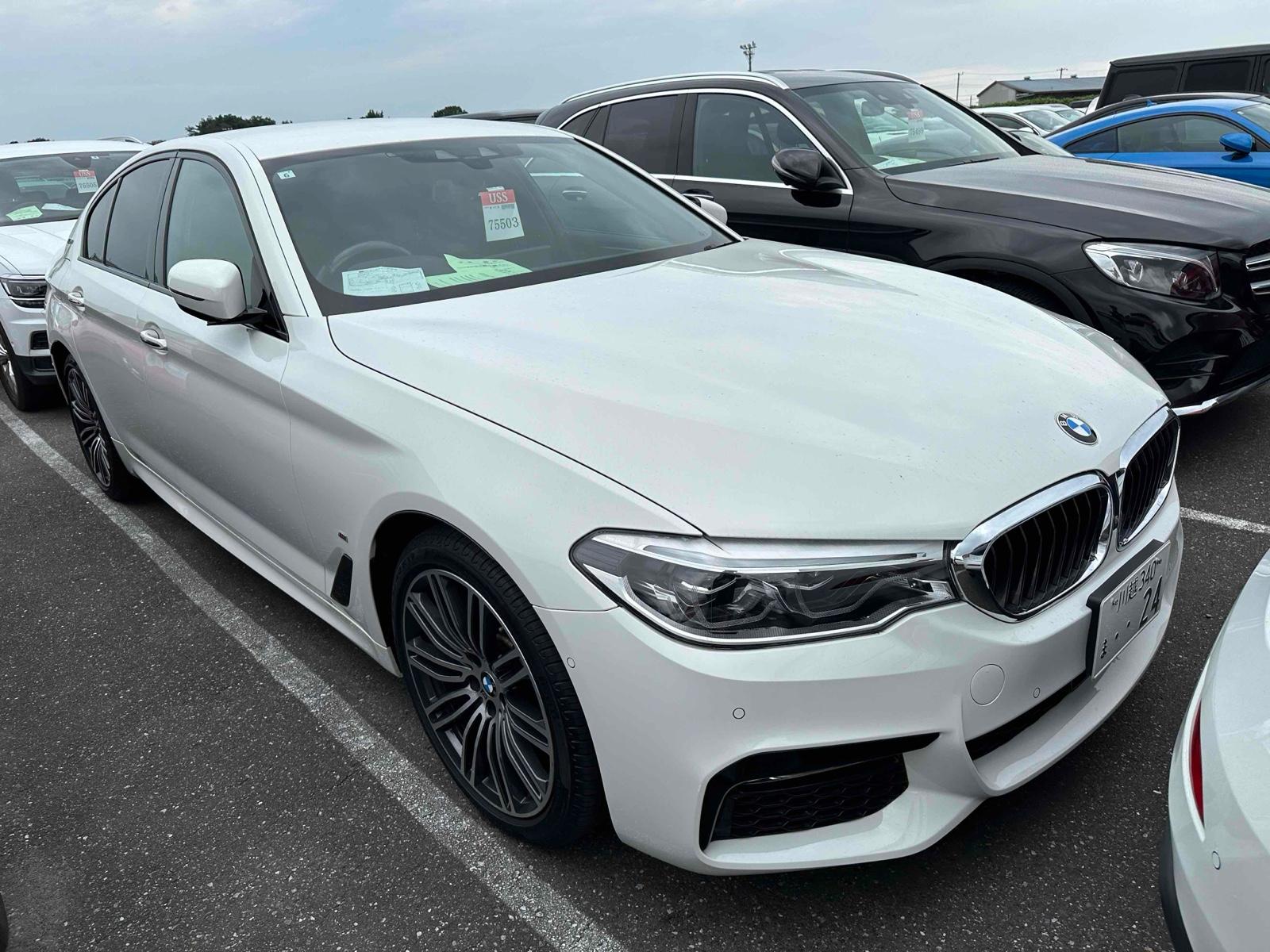 BMW 530 E M-SPORT IPERFORMANCE