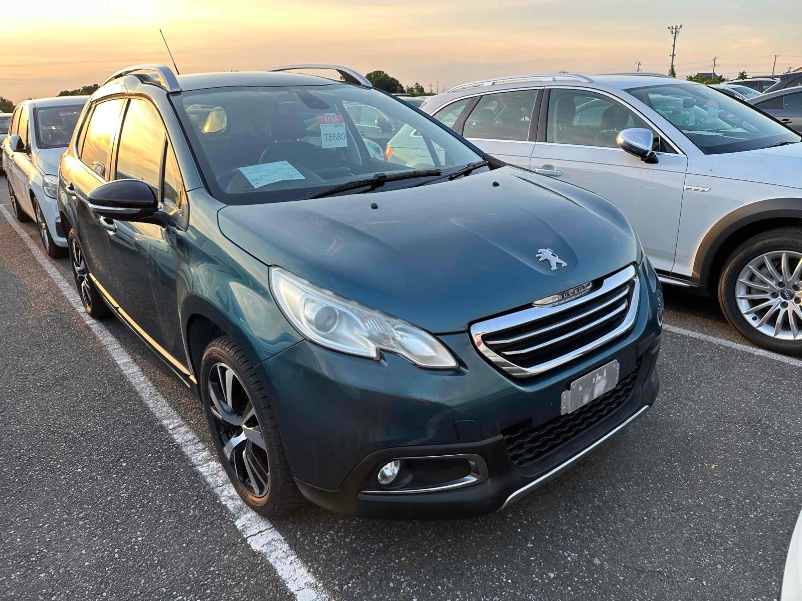 Peugeot 2008 CROSS CITY