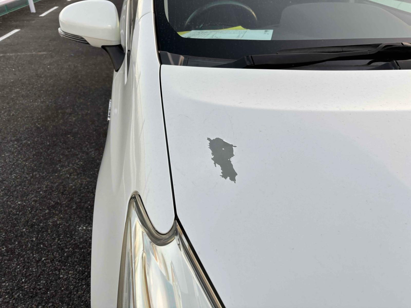 Toyota Prius ALPHA S TUNE BLACK
