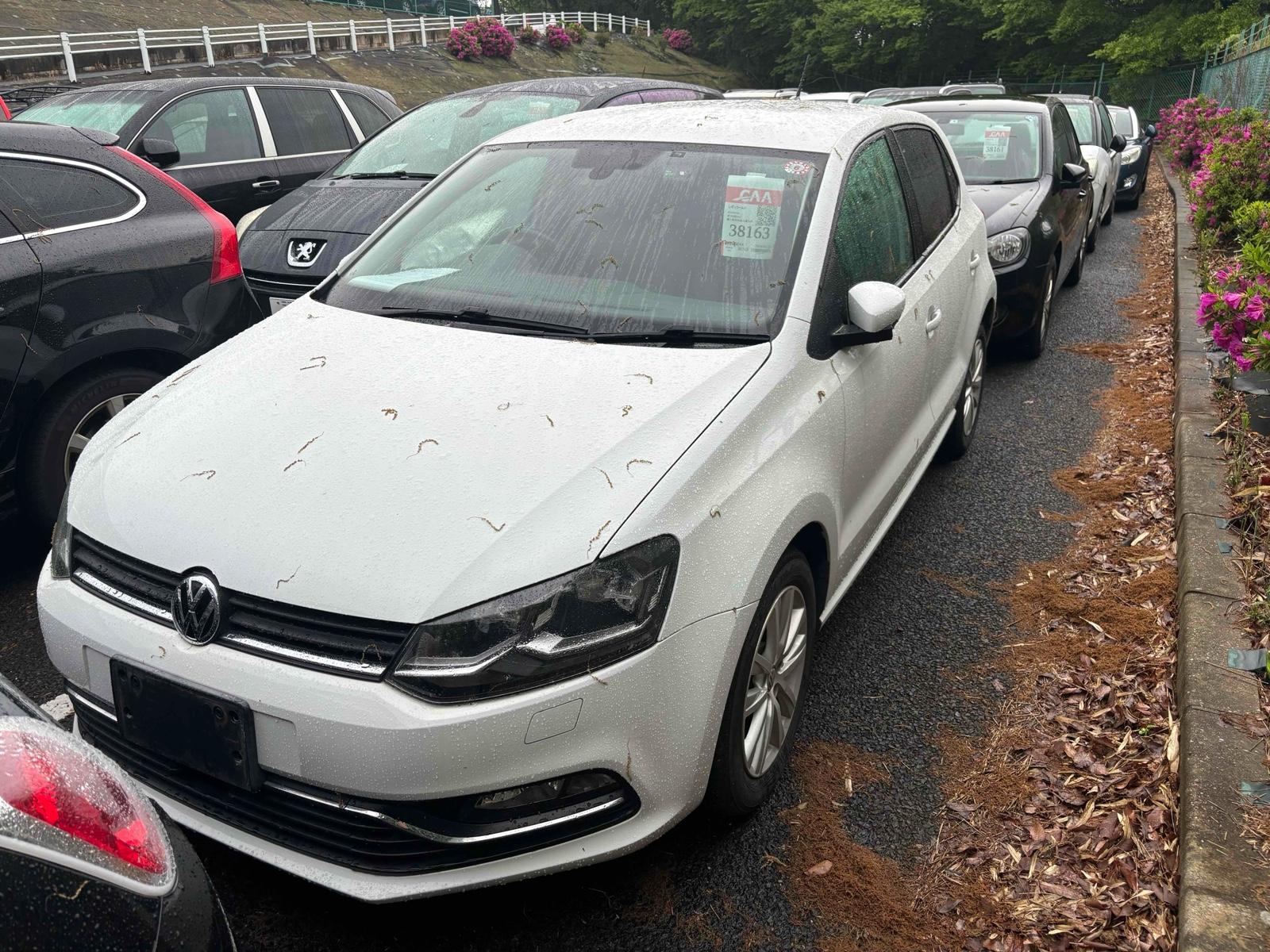 Volkswagen Polo TSI COMFORT LINE MEISTER