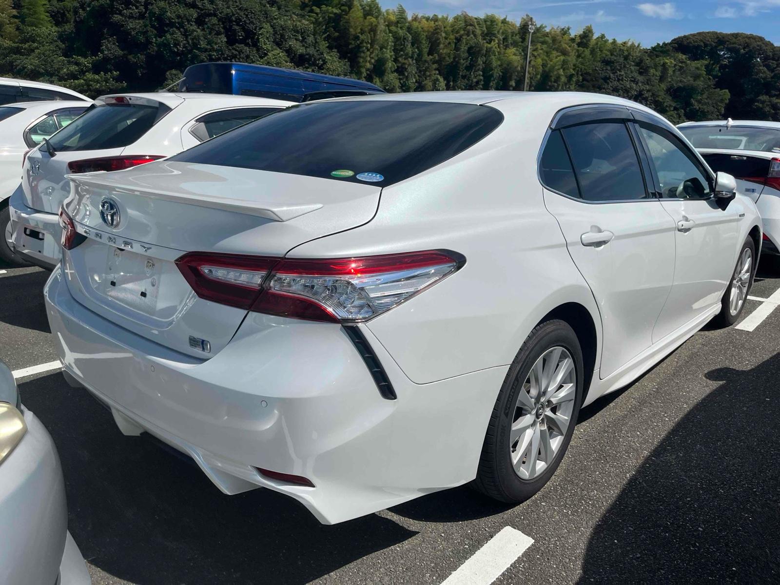 Toyota Camry WS