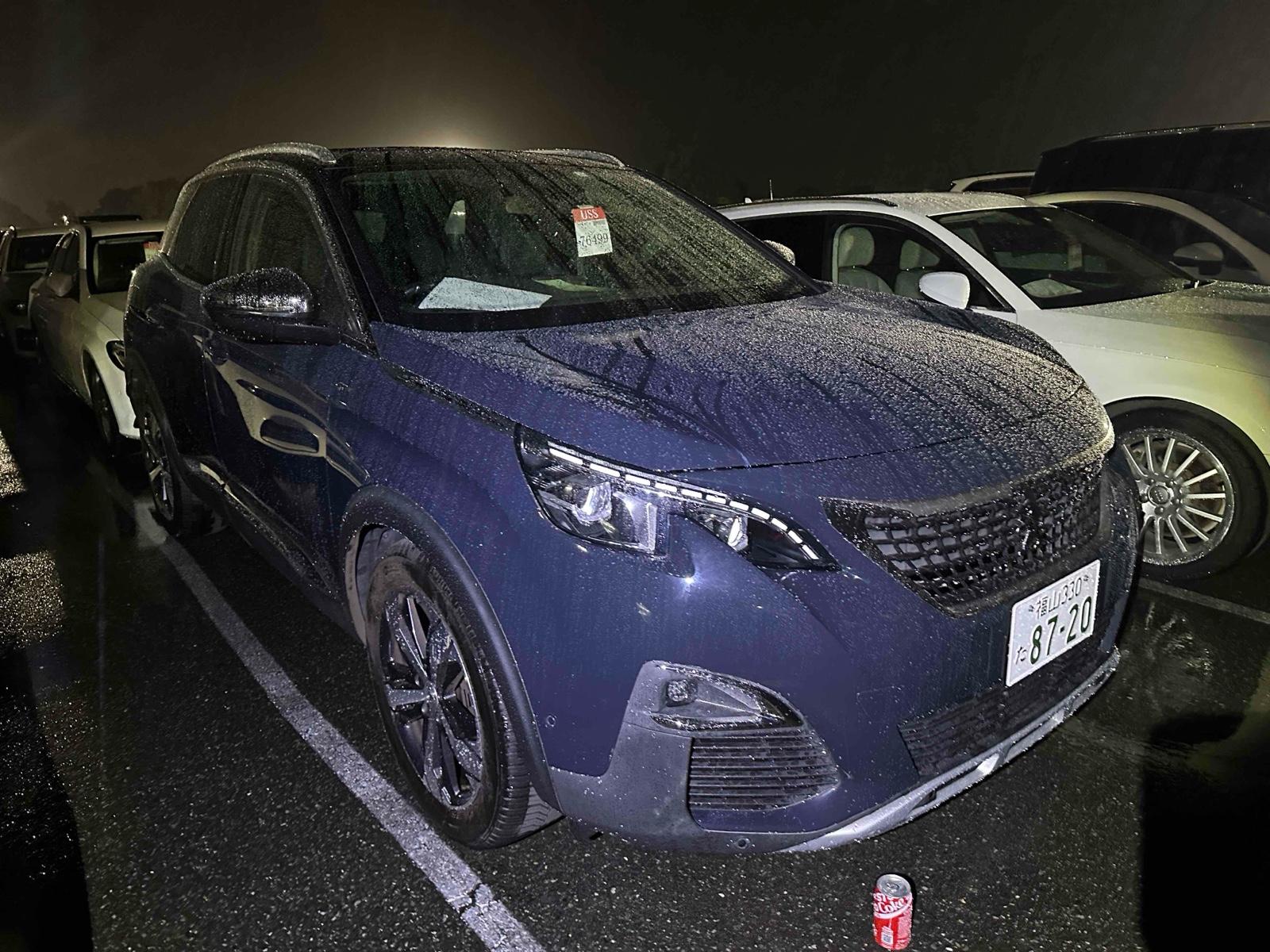 Peugeot 3008 GT BLUE HDI FIRST CLASS PACKAG