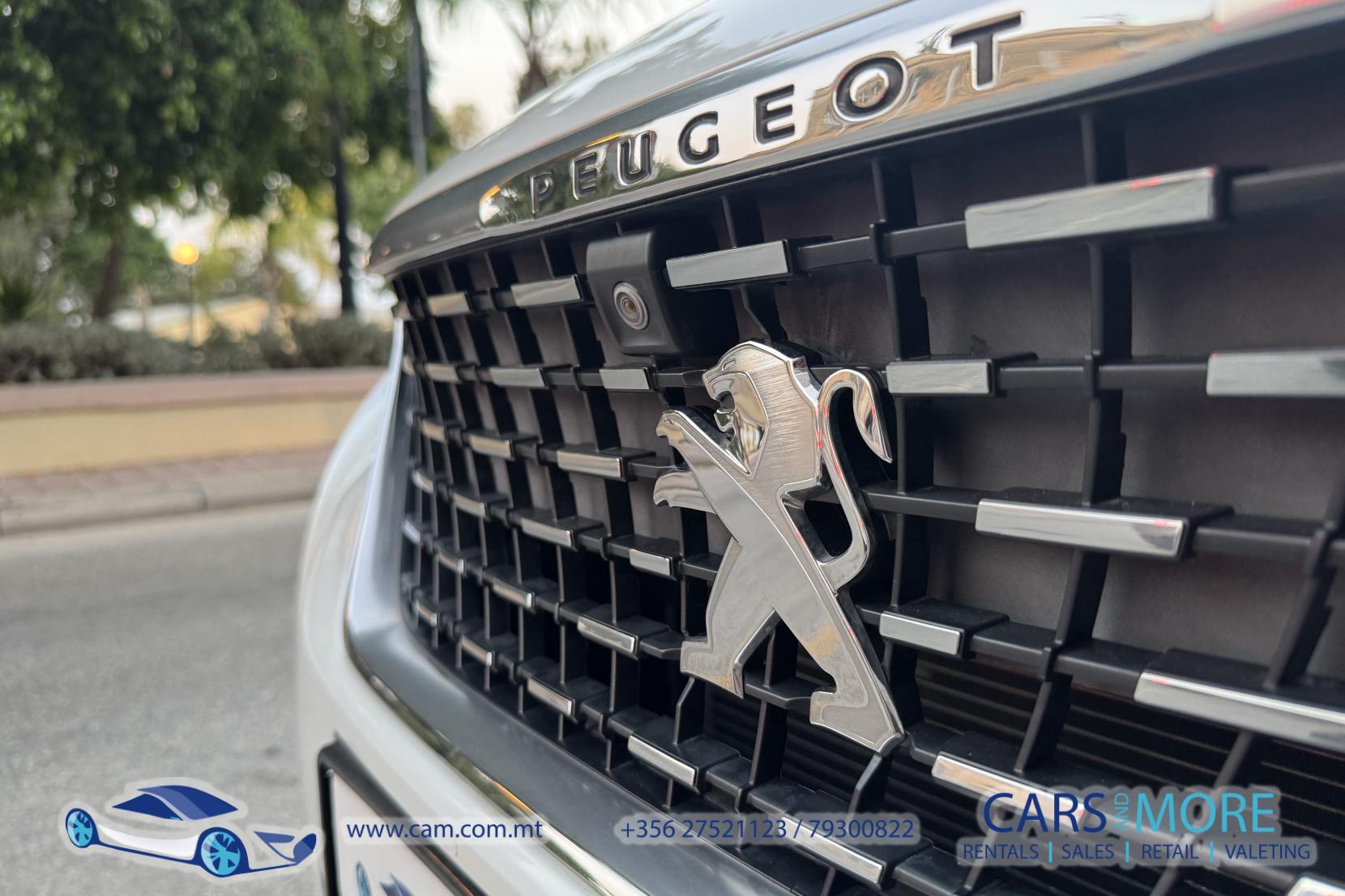 Peugeot 3008 GT 2.0hdi Panoramic Sunroof + AUTOMATIC 2.0 Top Spec GT