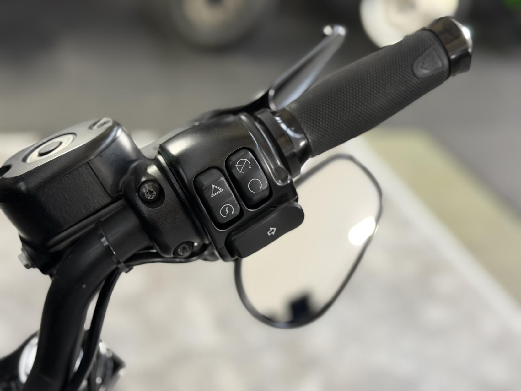 Harley-Davidson Sportster 1200 XL1200X Forty-Eight Custom Cruiser Petrol Manual Euro 4 (66 ps)