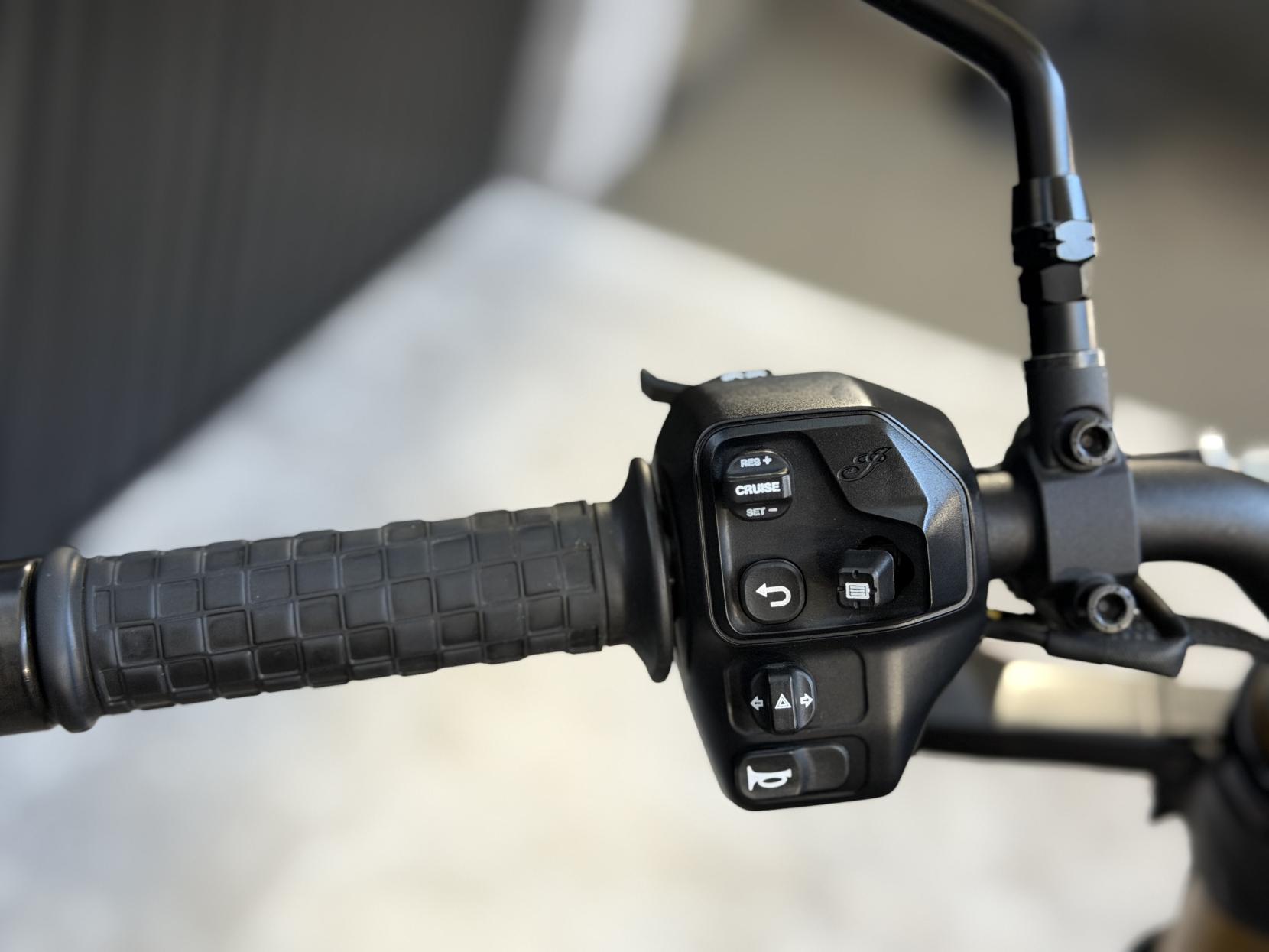 Indian FTR R Carbon 1203 Naked Petrol Manual Euro 5 (125 ps)