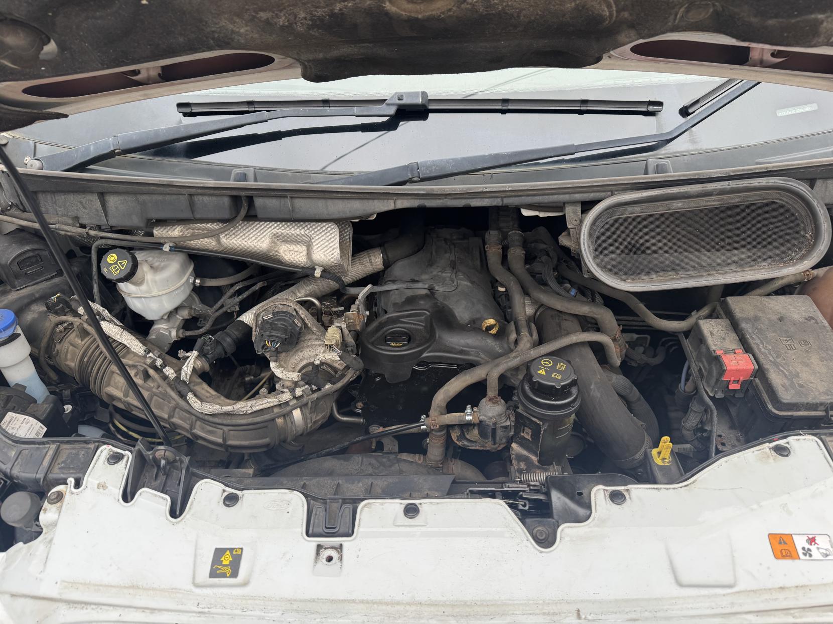 Ford Transit 2.0 350 EcoBlue 1-Way Double Tipper Double Cab 4dr Diesel Manual RWD L3 Euro 6 (1-Way, 1-Stop, DRW) (130 ps)