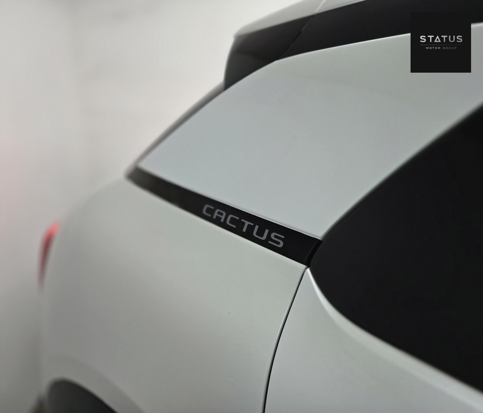 Citroen C4 Cactus 1.2 PureTech GPF Flair Hatchback 5dr Petrol EAT6 Euro 6 (s/s) (110 ps)